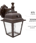LED Porch Lantern Outdoor Wall Light In Aged Bronze With Clear Water Glass, Dusk to Dawn Sensor, 875 Lumens, 3000K