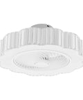 Ceiling Fan with Light 23 Inch Wireless Controller Low Noise for Bedroom, modern design with clear blades and decorative edge.