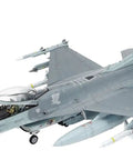 1/48 Scale F-16CJ Plastic Model Kit With CCIP Cockpit, IFF Antenna, Curved Fuselage, Moveable Stabilizers, Full Ordnance Load