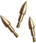 100 Grain Steel Archery Field Points 24 Pack Screw In Arrow Tips For Recurve Compound Bow And Crossbow Gold Finish Pro Grade Precision