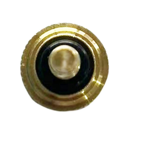 Top view of Road Warrior Grade Radiator Bleeder Bolt, brass construction, designed for easy cooling system maintenance.