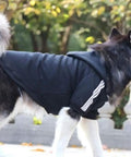 Dog wearing a black hooded jacket with white stripes, walking outdoors in a park setting.