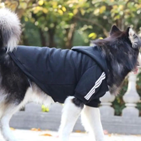 Dog wearing a black hooded jacket with white stripes, walking outdoors in a park setting.