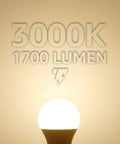 Universal Garage Door Opener LED Bulb 1700 Lumens 15W Equal 100W, A19 E26 Base, 3000K Warm White, glowing against warm background