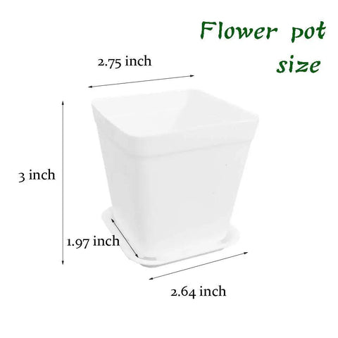 Set Of 24 White Square Plastic Plant Pots With Saucers 3 Inch Seedling Planters For Succulents And Flowers Drainage Holes Indoor Outdoor Garden Home Office Balcony Decor