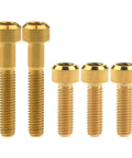 Upgrade Your Whips With These Tough As Nails M6 Titanium Alloy Bolts Featuring Slick Silver Hex Flange Heads For Heavy Duty Bike And Moto Upgrades Providing Unmatched Grip And Smoother Rides Daily, gold finish screws.