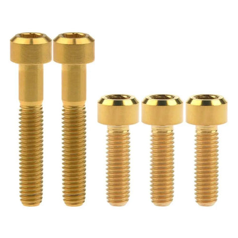 Upgrade Your Whips With These Tough As Nails M6 Titanium Alloy Bolts Featuring Slick Silver Hex Flange Heads For Heavy Duty Bike And Moto Upgrades Providing Unmatched Grip And Smoother Rides Daily, gold finish screws.