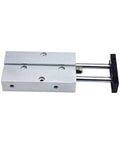 Side view of aluminum twin-rod pneumatic cylinder with silver housing and chrome rods, black end plate.