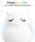 Kid Friendly Remote Control Owl Night Light For Kids, 9 Soft Color Modes, Sleep Timer, Rechargeable USB Lamp For Bedroom