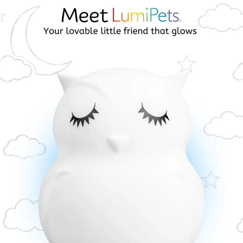 Kid Friendly Remote Control Owl Night Light For Kids, 9 Soft Color Modes, Sleep Timer, Rechargeable USB Lamp For Bedroom
