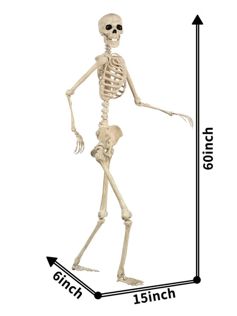 5 Ft Pose-N-Stay Life Size Skeleton With Realistic Movable Joints And Locking Knees, Durable All Weather Plastic For Indoor Outdoor