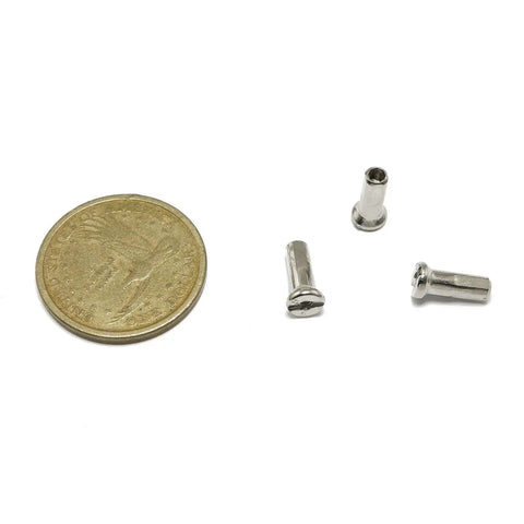 36 Piece MTB Spoke Nipples, 12mm Length, 14G 2mm Diameter, Silver Carbon Steel, next to a coin