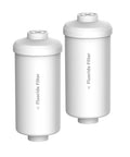 Top Notch Fluoride Filter Replacement for Berkey PF-2 Gravity Water Filter Compatibility 2 Pack