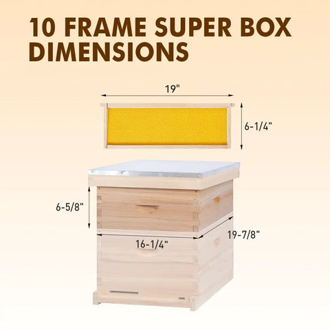 10 Frame Langstroth Beehive Super Box With Frames And Waxed Foundations Cedar Wood Beekeeping Kit dimensions illustration