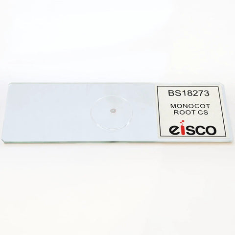 Monocot Root Cross Section Prepared Microscope Slide Stained For Clear Tissue Visualization On 25x77mm Glass Slide Showcasing Epidermis Cortex Pith And Vascular Bundles For Educational Lab Demonstrations, labeled glass slide