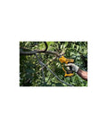 User prunes a branch using the 20V Max Cordless Pruner with 1-1/2 Inch Cut, Quick Blade Changes in a garden setting.