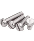 Heavy Duty M2 X 4 millimeter slotted cheese head tapping screws 304 stainless steel pro grade machine fasteners with zero rust for sheet metal and furniture assembly projects pack of 30, showing four screws.