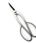 Six Piece Bonsai Tool Kit With Long Handle Scissors 8 Inch And 7 Inch, Top Pruning Scissors 7.85 Inch, Root Pruning Scissors 7.48 Inch