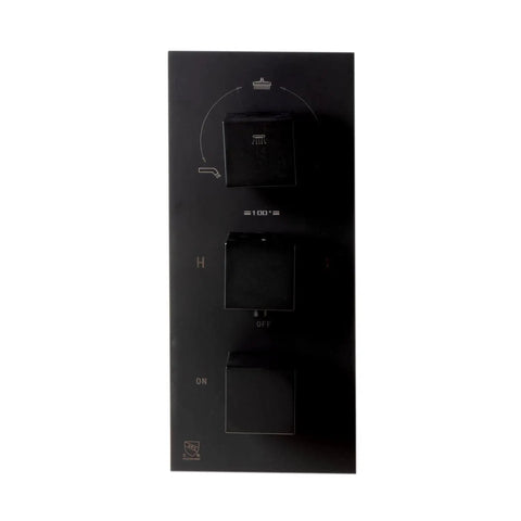 HomeStock Modern Rectangle Thermostatic Shower System Trim Kit with Pressure Balance Valve Matte Black Finish control panel