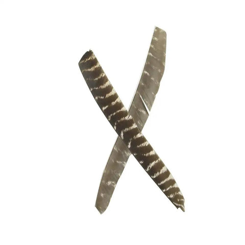 Close-up of two turkey feathers from 30 Piece Pro Grade Full Length Turkey Feather Arrow Fletching Set For DIY Arrows Right Wing Spiral Twist