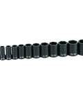 12 Piece Beefy Three Eighth Inch Drive Semi Deep Standard Socket Set In Blow Molded Case With Sizes From Five Sixteenths To One Inch Durable Taiwan Made Build Lifetime Warranty Ideal For DIY And Pro Mechanics lineup of sockets