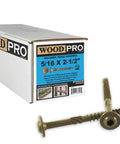 5/16-Inch By 2-1/2-Inch Exterior Wood Screws With Round Washer Head Gold Finish 250-Pack Including T-30 Star Bit, Torx