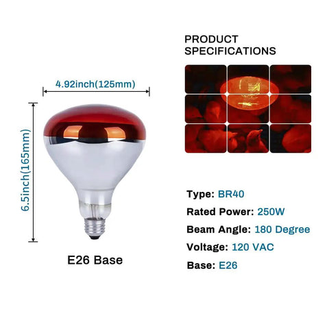 Infrared 250W R40 Heat Lamp Bulb For Brooder, Chickens And Pets, Reflector Incandescent Heating Lamp specification chart