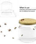 Ten Pack Metal Bee Entrance Feeders 2.87 Inch For Beehives showing bees using a feeder with metal lid on a jar
