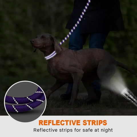 Built Tough Rope Dog Leash 6 Ft With Padded Handle Reflective Threads Anti Tangle Clip For Walking Medium And Large Dogs 1/2 Inch Thick Purple For Everyday Use night walking reflection