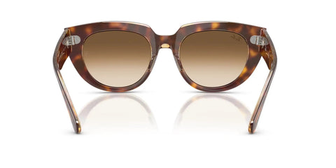 Back view of Doreen Low Bridge Fit Sunglasses, Light Havana Transparent Frame with Clear Gradient Brown Lenses, XL Wide Face Fit, 52 mm Square Style.
