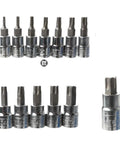 Blue 13 Piece Torx Screwdriver Bit Set For 1/4 Inch 3/8 Inch And 1/2 Inch Hex Socket Driver Tools Featuring Durable Carbon Steel Construction From T8 To T60 Sizes For Your Home Repair Jobs And Professional Mechanics Kit Needs Today, 1/4-inch Torx bits