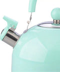 Heavy Duty Stainless Steel Water Kettle With Slick Pastel Exterior and Zero Scald Handles close-up of spout and whistle