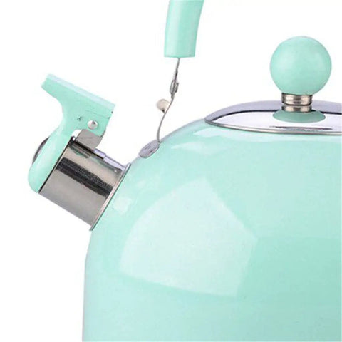Heavy Duty Stainless Steel Water Kettle With Slick Pastel Exterior and Zero Scald Handles close-up of spout and whistle
