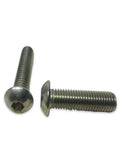 Stainless Steel Button Head Socket Cap Screws Allen Bolts Hex Drive 1/4-20 18-8 Finish, durable hardware, two screws angle view