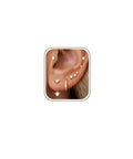 Six Pairs 14K Gold Plated Stud Earrings For Women With Hypoallergenic Cuff Cartilage Styles, Multi Piercing Friendly Dainty Stackable Set, Includes Tiny Hoops And Ball Earrings, Your Go To Gift Jewelry For Everyday Wear on ear with gold studs and hoop