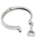 Stainless steel 4-inch tri-clamp with single pin and wing nut for ferrule