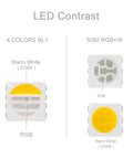 LED contrast diagram showing RGB and warm white in 4 In 1 RGBW LED Tape Light 12V 5m 16.4ft 60 LEDs Per Meter