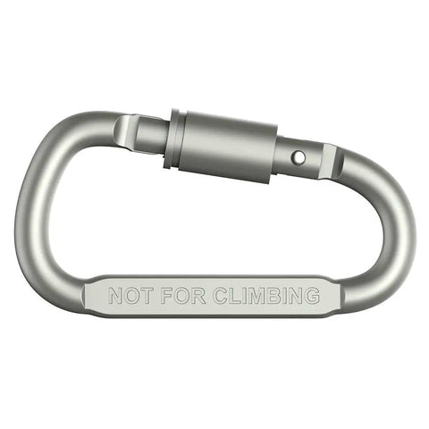 Single carabiner from Premium Aluminum D Ring Locking Carabiners Pack of 6 Lightweight Durable for Hiking Camping Keychains Dog Leashes