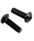 Two M5x10mm titanium finish stainless steel bike bolts with black dope look for disc brake rotor screws, rustproof hex drive.