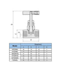 Front sectional view of shncuonp high-pressure stainless steel needle valve, through-plate type, 1/2 in female thread.