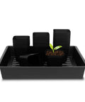 4 Inch Square Nursery Pots Kit With 60 Pots And 5 Seed Starter Trays for germination and propagation displayed with plant sprout