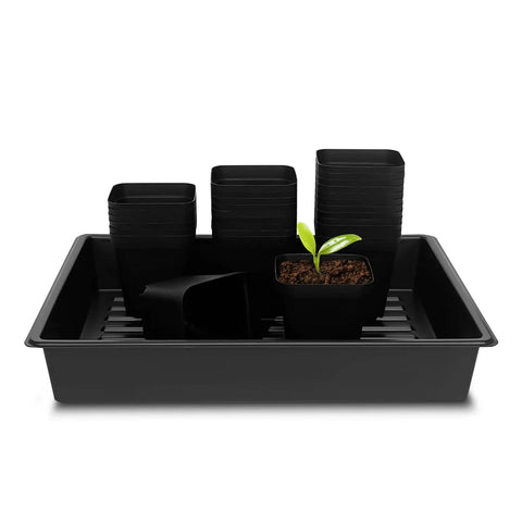 4 Inch Square Nursery Pots Kit With 60 Pots And 5 Seed Starter Trays for germination and propagation displayed with plant sprout
