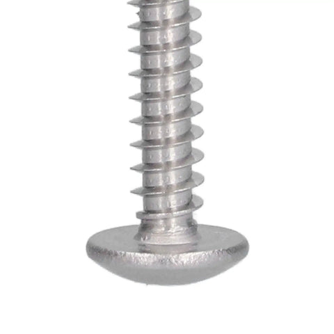 Close-up of a single screw from the 200 Pcs Self Tapping Screws Kit 304 Stainless Steel Cross Self Drilling Screws For Wood Metal And Plastic