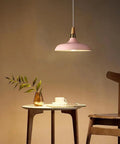 Wood Metal Colorful Pendant Light, Simple Farmhouse Lighting, Indoor Rustic Fixture over a table with a plant and a cup