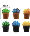 Whimsical Succulent Door Hinge Heads Magnetic Topper Set Of 6 Haworthia Miniature Potted Plant Trinkets in pots