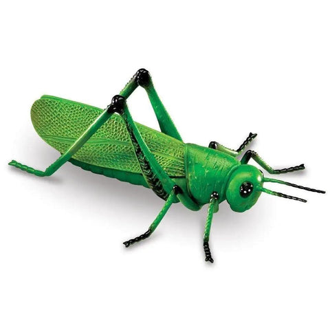 Green grasshopper figure from Jumbo Insects Educational Toy Set For Kids Ages 3 And Up, Hands On Insect Figures For Science Learning