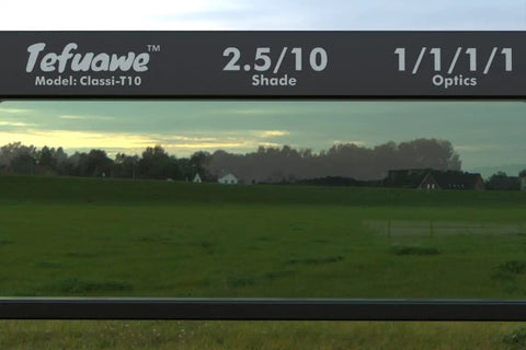 View through Auto Darkening Welding Lens With True Color Technology Shade 10, 2x4.25 Inch, showing clear landscape.