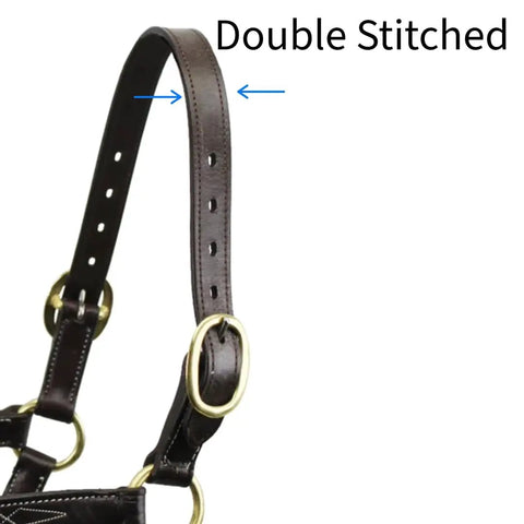 Double Stitched Leather Breakaway Halter Crown Replacement with adjustable holes and metal rings, 21 or 25 Inch, 1 Inch Wide