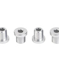4 Pack Rear Derailleur Hanger Bolts Aluminum Alloy 13.8mm Length M10xP1.0 Thread For Bike Chain Tensioner Installation