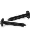 Top Shelf Number 14 By 1 1/2 Inch Truss Head Self Tapping Wood And Sheet Metal Screws featuring black 304 stainless steel, two screws.